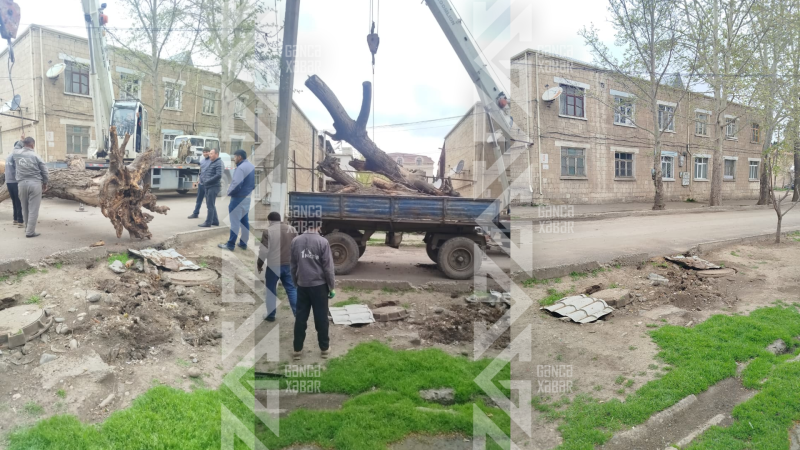 Gəncədə təhlükə yaradan problem KÖKÜNDƏN həll edildi
