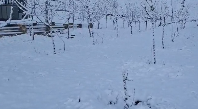 Bölgələrimizə qar yağıb