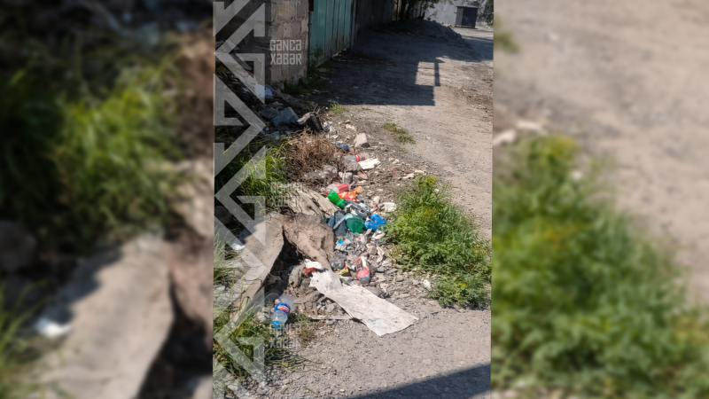 Gəncədə bu dayanacaq üfunət saçır