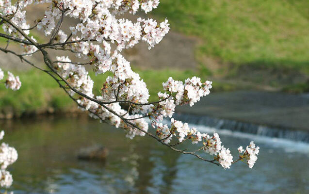 Sabah 25 dərəcə isti olacaq - PROQNOZ