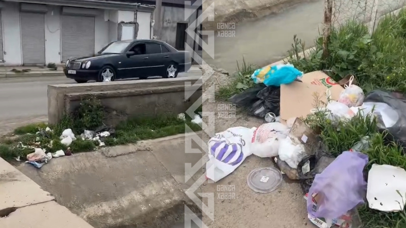 Totanlı küçəsində zibil qabı problemi: Sakinlər narazıdır