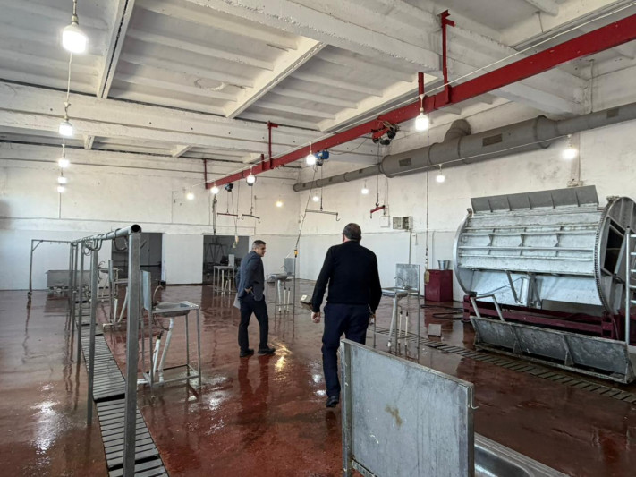 Gəncədə QURBANLIQ qoyunlar BURADA kəsiləcək