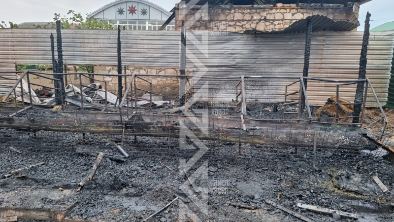 Vətəndaşın 20 qoyunu yanğında tələf oldu