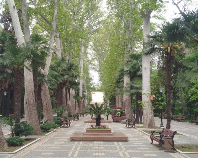 Xan bağı güllərlə bəzədilir