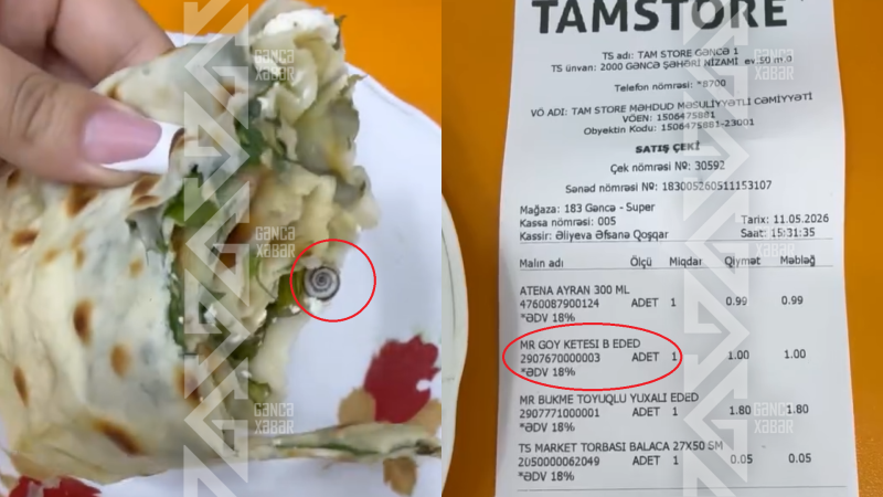 Gəncədə zülalla zəngin KƏTƏLƏR satılır