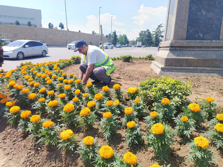 Gəncənin daha bir neçə məkanında güllər əkilib