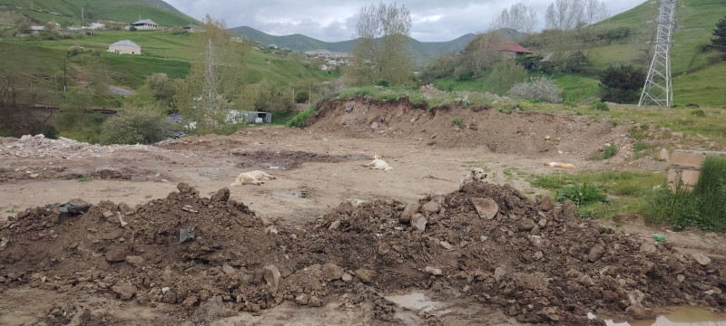 Gədəbəyin girişindəki zibillik ərazi təmizlənib