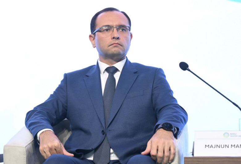 Ət istehsalımız istehlakı qarşılaya bilmir - Nazir