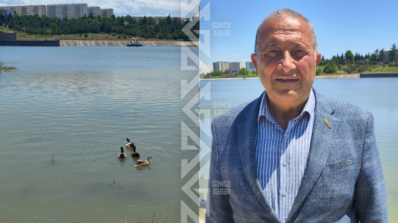 Gəncədəki süni gölə BALIQLAR və QUŞLAR buraxılacaq