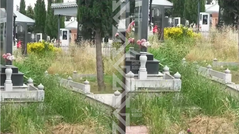 Köhnə Səbiskarı kol-kos basıb