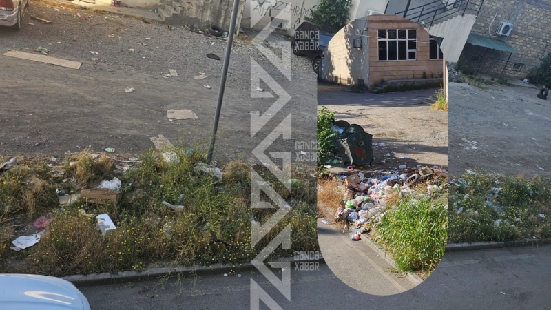 Gəncədə zibil problemi: Sakinlər qoxudan pəncərə aça bilmir
