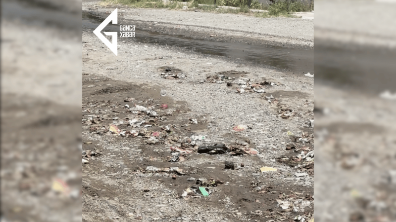 Gəncədə daşan kanal problemi sakinləri təngə gətirib