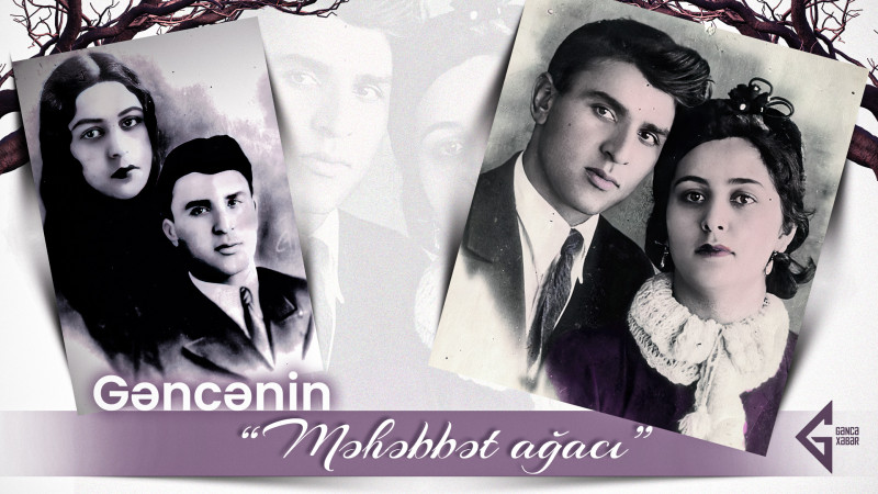 Gəncənin Məhəbbət ağacı
