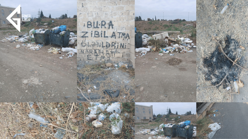 Gəncənin müxtəlif ərazilərində antisanitar vəziyyət hökm sürür