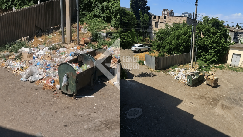 Gəncənin mərkəzi küçəsində antisanitar vəziyyət narahatlıq yaradır