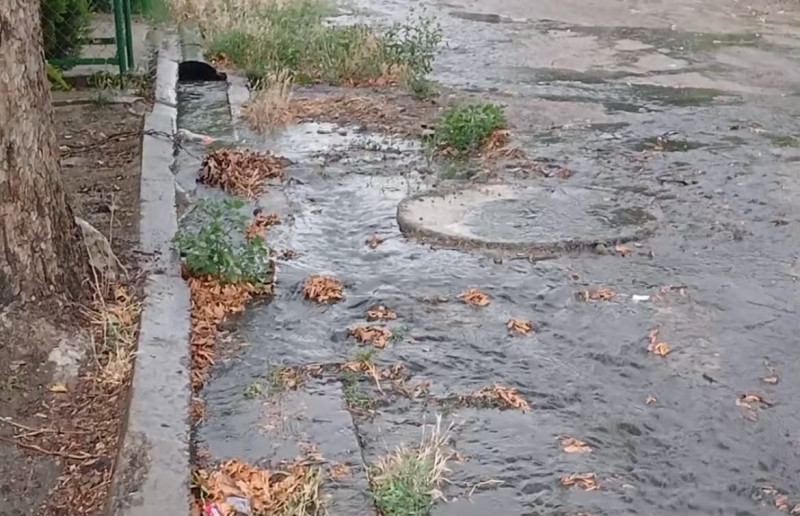 Gəncədə bir ildən çoxdur həlli tapılmayan PROBLEM