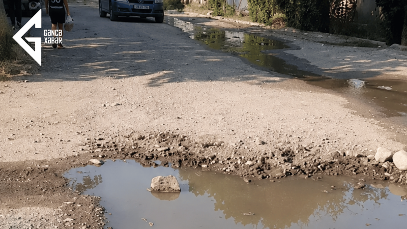 Gəncədə sakinlər üfunətdən əziyyət çəkir: Pəncərələri belə aça bilmirik