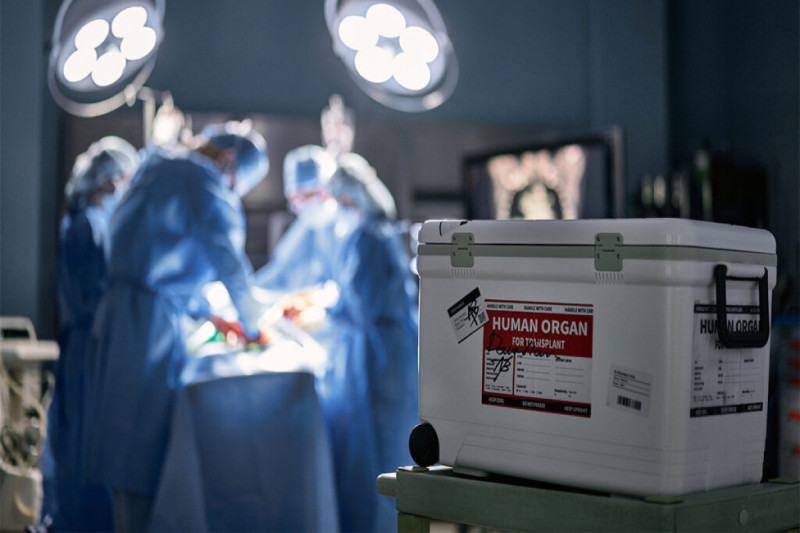 1400-dən artıq şəxs orqan və toxuma transplantasiyası üçün növbə gözləyir - RƏSMİ