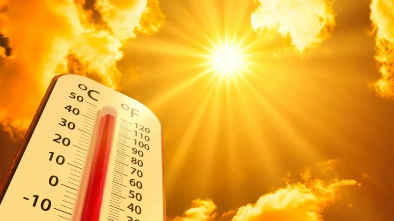 Bazar günü Gəncədə 40 dərəcə isti olacaq