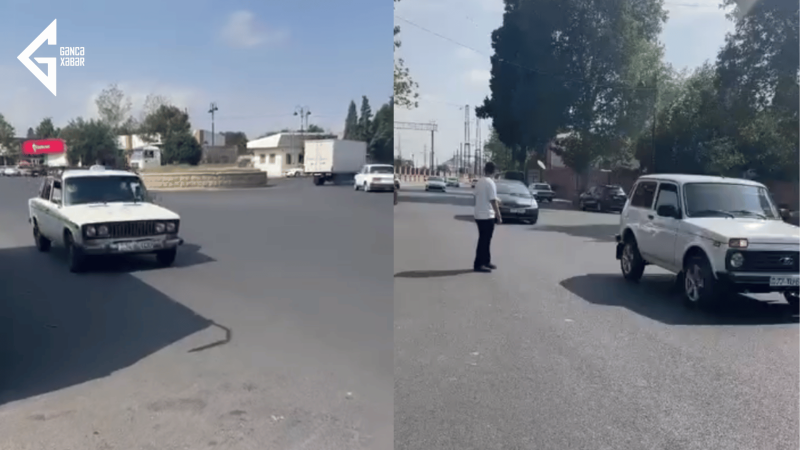 Sovxoz Nizami dairəsində təhlükə: yol təmir edildi, amma...