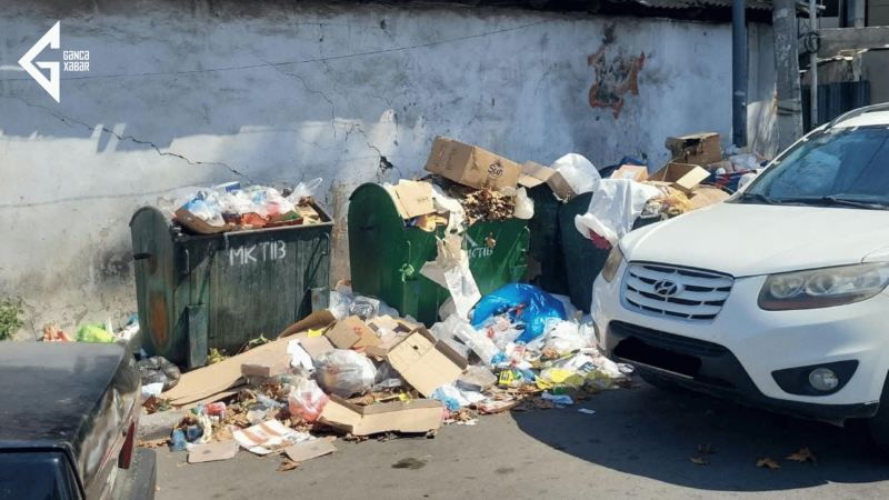 Gəncədə iki ünvanda zibil problemi: sakinlər narazıdır