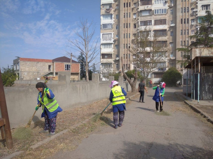 Gəncədə növbəti təmizlik aksiyası keçirilib