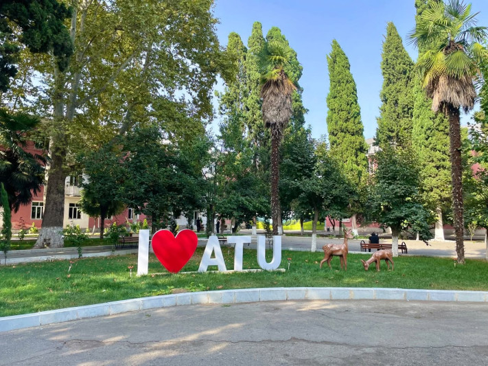 Gəncədə 44 həmişəyaşıl ağac əkilib