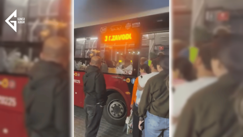 Gəncədə BakuBusın fəaliyyətindən öz sürücüləri də narazıdır? - İDDİA