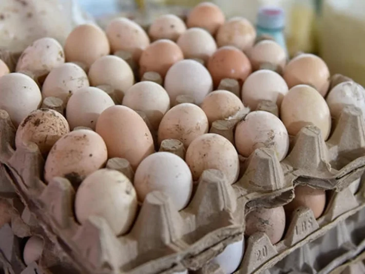 Kənd yumurtası 10 qəpik BAHALAŞDI