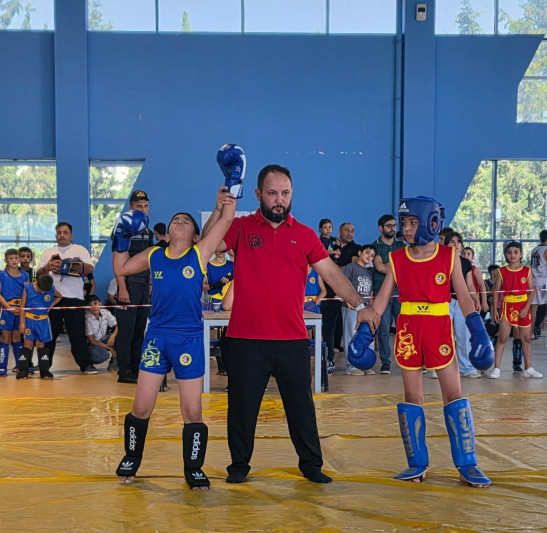 Gəncəli idmançılar Respublika turnirində 12 medal qazandılar