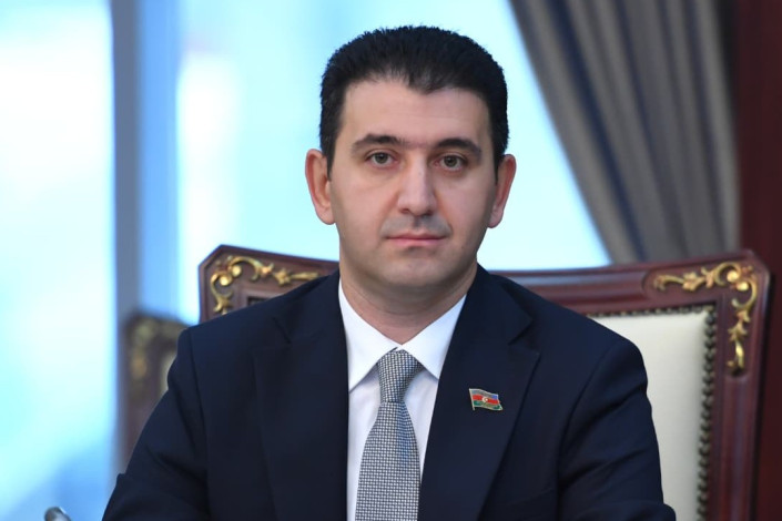 Gəncəli deputat: "Sahibsiz heyvanlar üçün sığınacaqlar tikilməlidir"