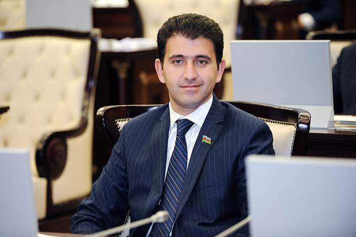 Gəncəli deputat: "Sahibsiz heyvanlar üçün sığınacaqlar tikilməlidir"