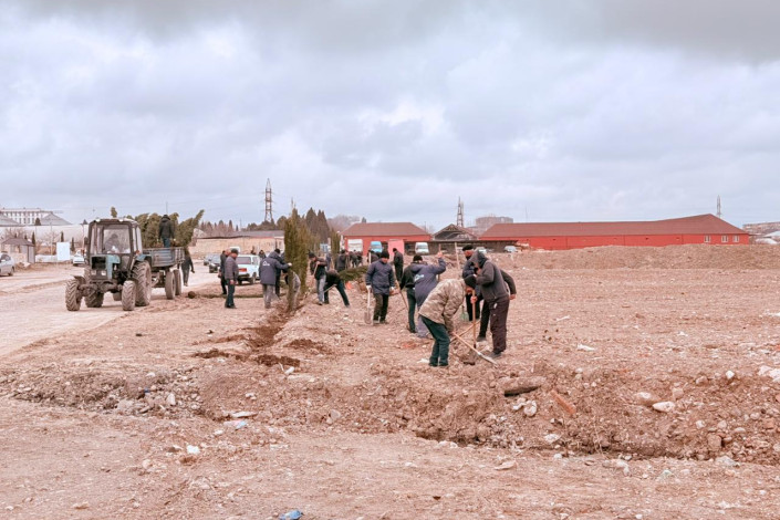 Gəncədə ağacəkmə aksiyası keçirilir