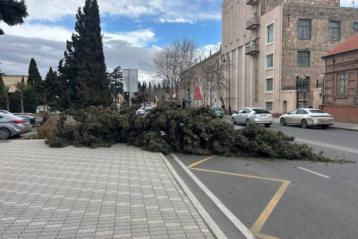 Gəncədə yenə güclü külək olacaq