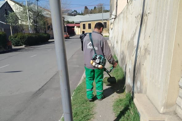 Gəncə alaq otlardan təmizlənir