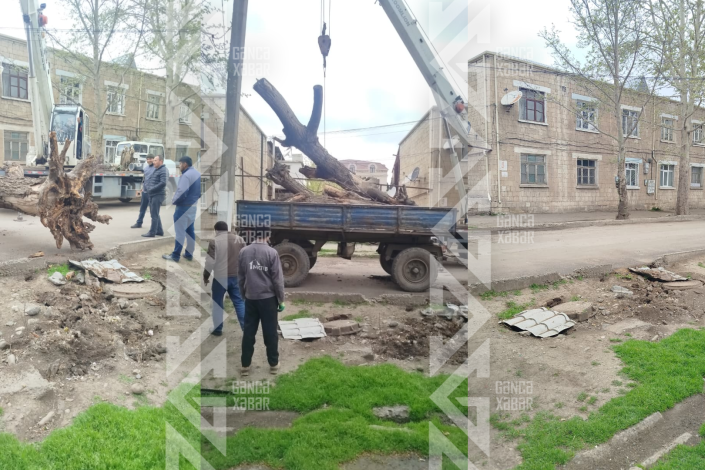 Gəncədə təhlükə yaradan problem KÖKÜNDƏN həll edildi