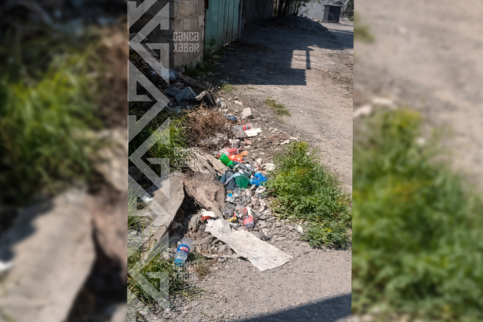 Gəncədə bu dayanacaq üfunət saçır