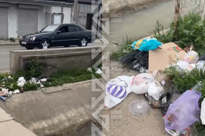 Totanlı küçəsində zibil qabı problemi: Sakinlər narazıdır