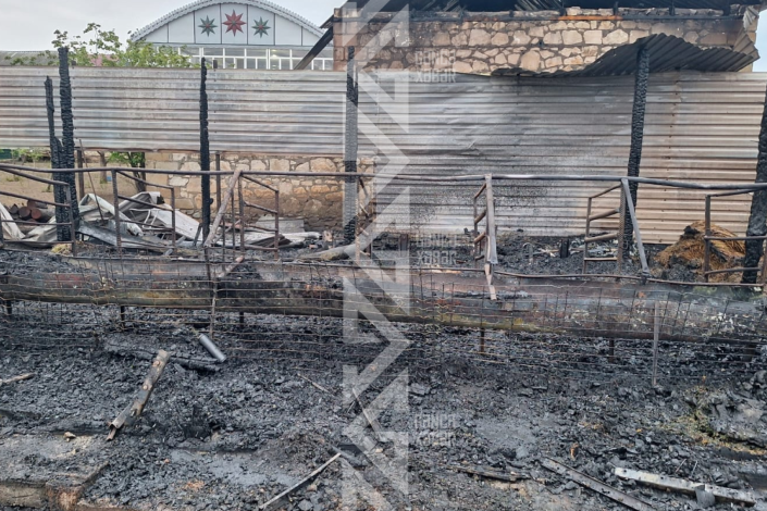 Vətəndaşın 20 qoyunu yanğında tələf oldu