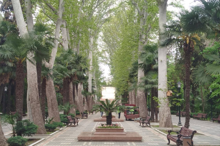 Xan bağı güllərlə bəzədilir