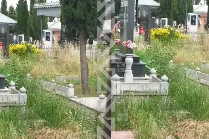 Köhnə Səbiskarı kol-kos basıb