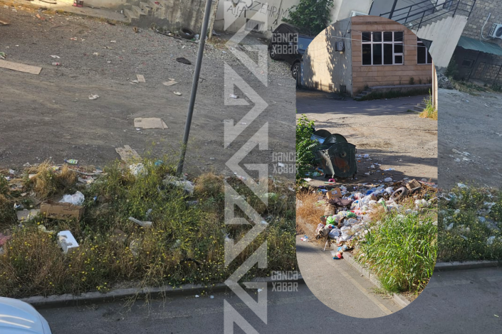 Gəncədə zibil problemi: Sakinlər qoxudan pəncərə aça bilmir