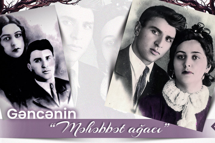 Gəncənin "Məhəbbət ağacı"