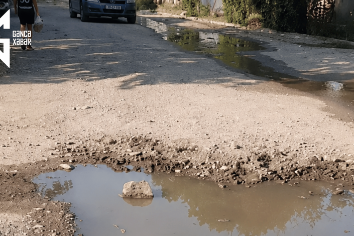 Gəncədə sakinlər üfunətdən əziyyət çəkir: "Pəncərələri belə aça bilmirik"