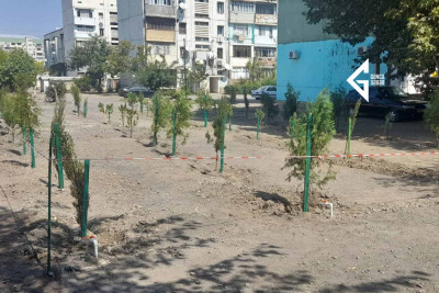 Gəncə sakinləri şəhidin xatirəsinə zibilliyi təmizləyib yerinə ağac əkiblər