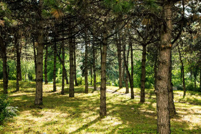 Gəncədə Ekoloji Park Kompleksin yaradılması üçün təkliflər sorğusu elan olunub