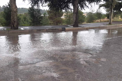 Gəncə sakinləri dayanacaqda yox, yoldan kənarda avtobus gözləyirlər