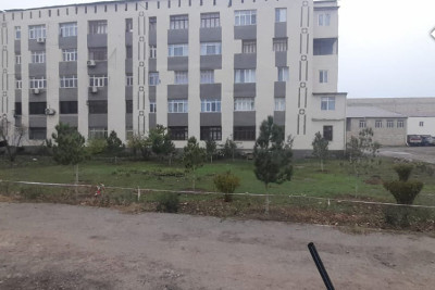 Gəncədə boya başa çatan şəhidin xatirəsinə ağaclar əkilib