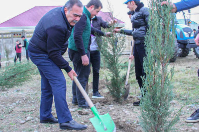 ADAU tələbələri ağacəkmə aksiyasında iştirak ediblər