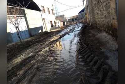 Gəncədə tanınmış şərqşünas Aida İmanquliyevanın adını daşıyan küçənin halı